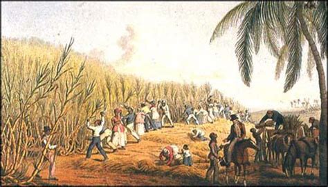 The Tupinambá-Portuguese Conflict; A Precursor to Brazilian Colonialism and the Introduction of Sugarcane Cultivation